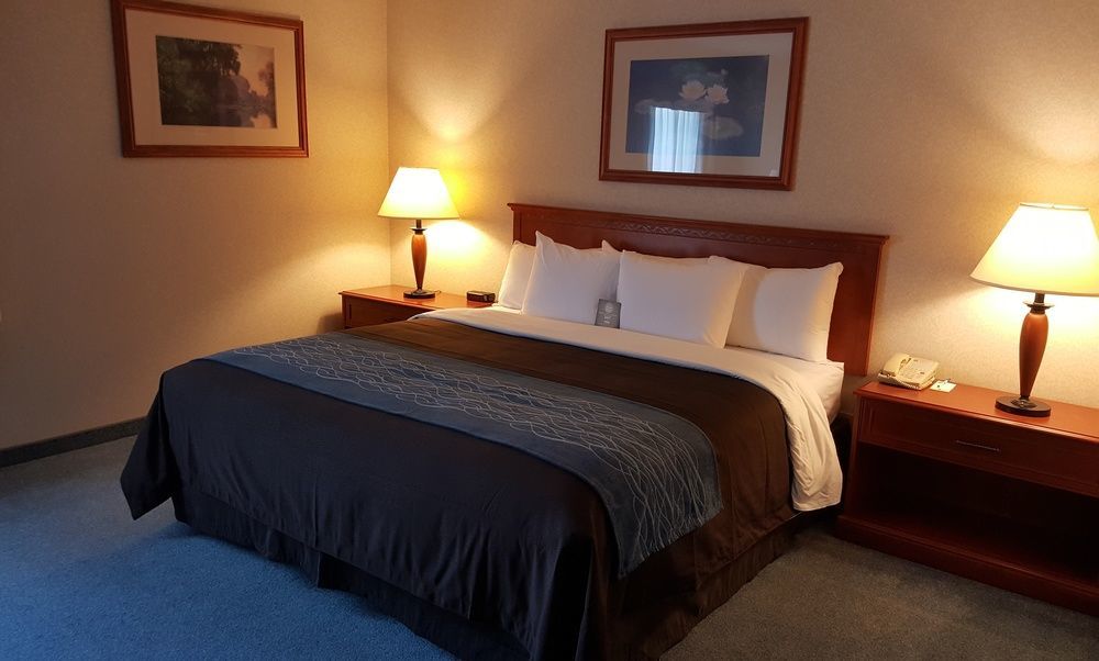 Comfort Inn & Suites ビクトリア エクステリア 写真