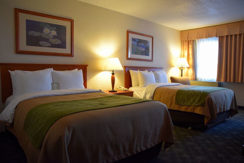 Comfort Inn & Suites ビクトリア エクステリア 写真