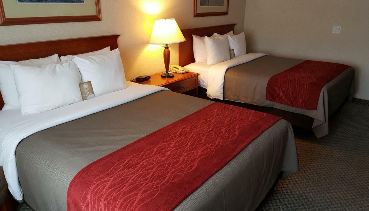 Comfort Inn & Suites ビクトリア エクステリア 写真