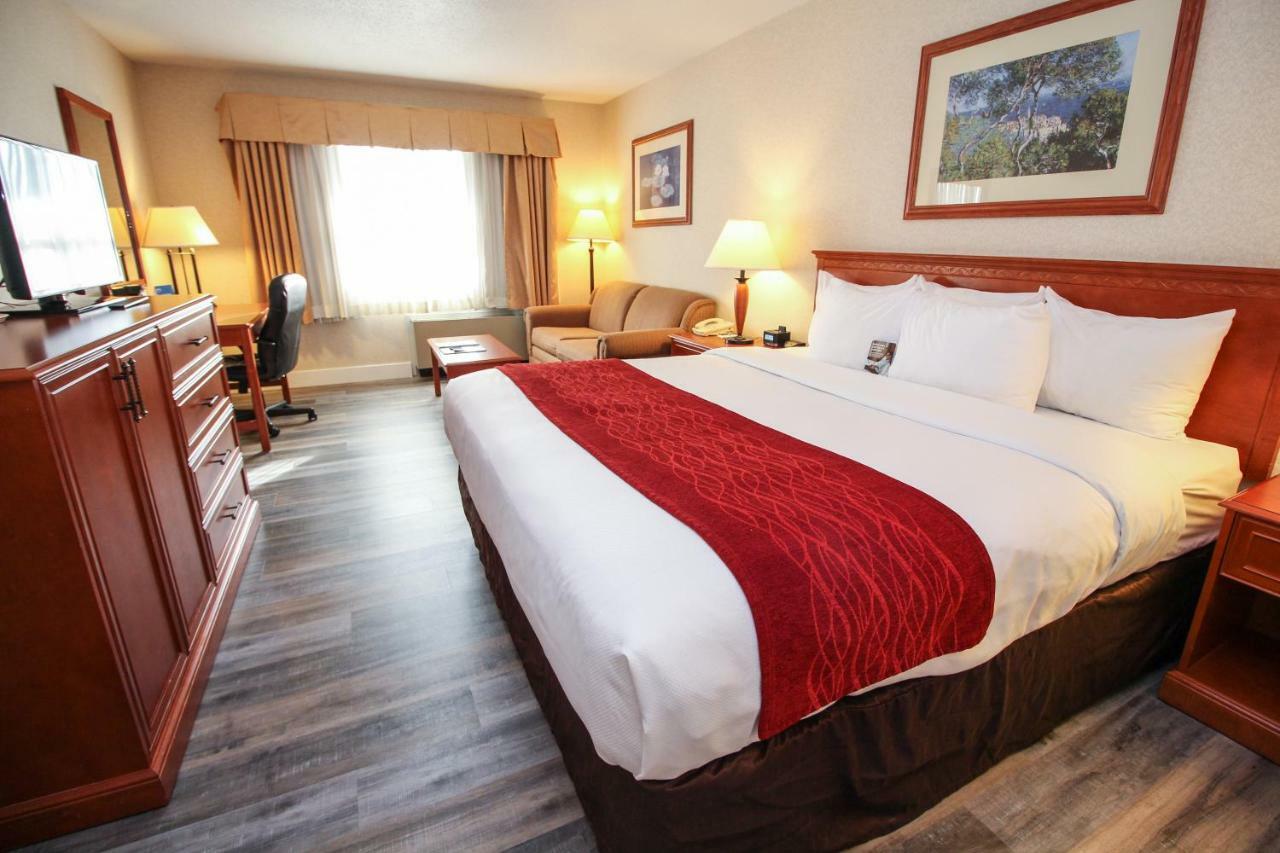 Comfort Inn & Suites ビクトリア エクステリア 写真